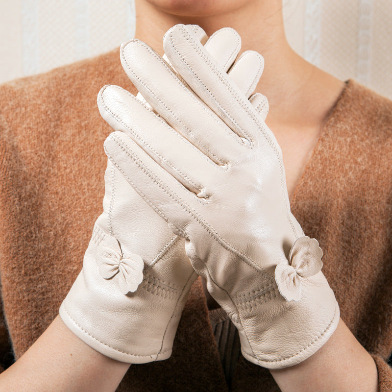Women gloves